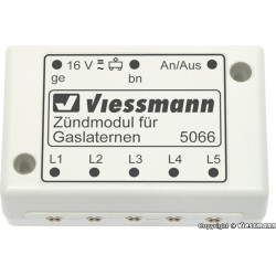 Viessmann 5066 : Ignition...