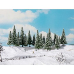 Noch 24683 : Snowy fir trees